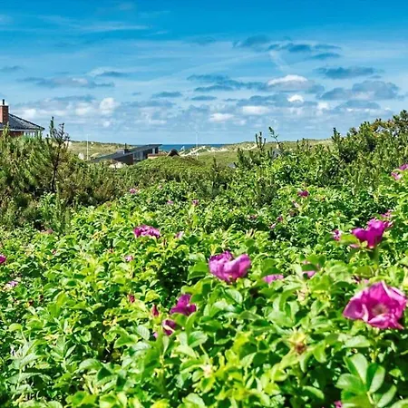 Ve111-vejers-strand-nordvej-9-a * バイアス・スタン